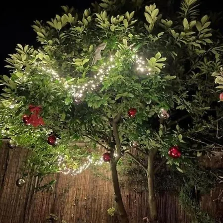 Apartman Le De Sabina - Colmar