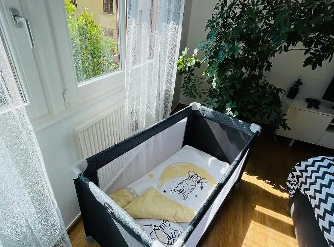 Apartmán Le De Sabina - Colmar