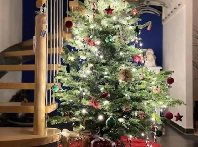 Le De Sabina - Colmar