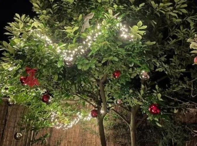 Διαμέρισμα Le De Sabina - Κολμάρ