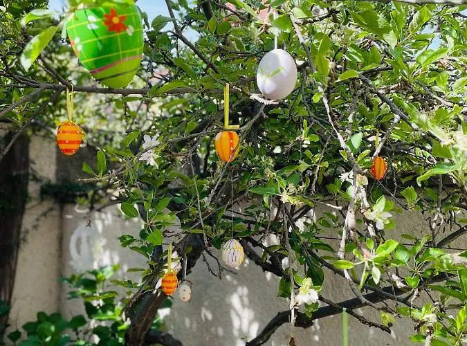 Le De Sabina - * Colmar